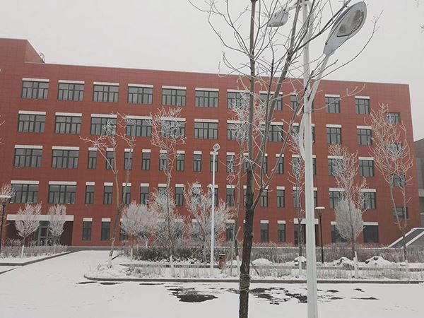Xinjiang Vocational University Project